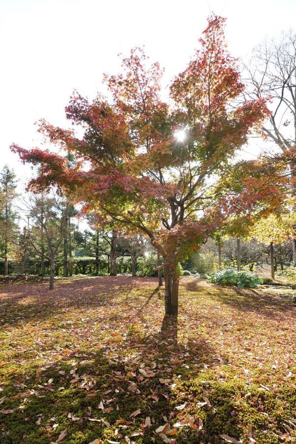 Vila Japaning Senkyu Kjóto Exteriér fotografie