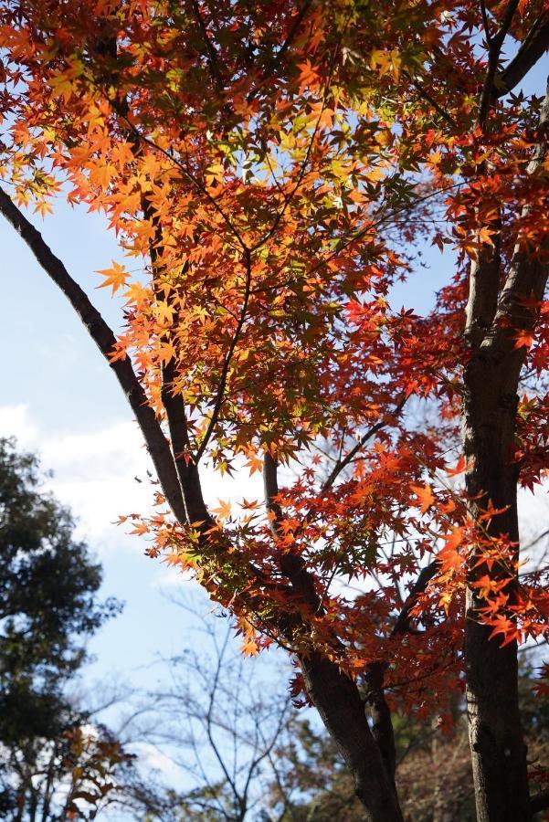 Vila Japaning Senkyu Kjóto Exteriér fotografie